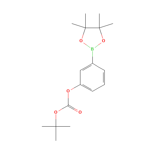 TERT-BUTYL-3-(4,4,5,5-TETRAMETHYL-1,3,2-DIOXABOROLAN-2-YL)PHENYL CARBONATE (CAS: 480438-74-2) - Related Chemical Product