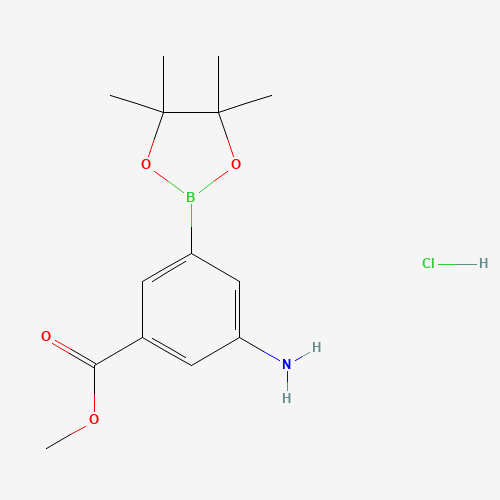 (3-AMINO-5-METHOXYCARBONYL)BENZENEBORONIC ACID PINACOL ESTER HYDROCHLORIDE (CAS: 850567-50-9) - Related Chemical Product