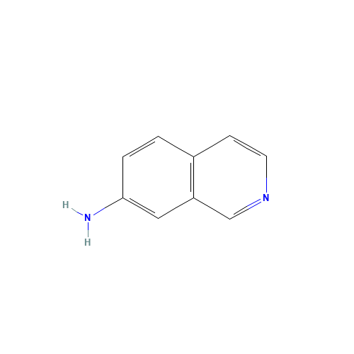 7-Aminoisoquinoline (CAS: 23707-37-1) - Related Chemical Product