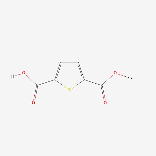5-(METHOXYCARBONYL)THIOPHENE-2-CARBOXYLIC ACID (CAS: 50340-79-9) - Related Chemical Product