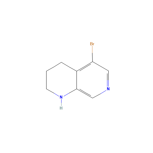 5-Bromo-1,2,3,4-tetrahydro-[1,7]naphthyridine (CAS: 351457-97-1) - Related Chemical Product