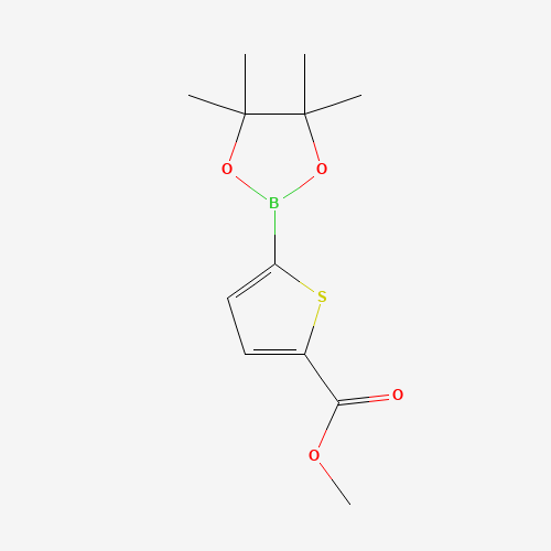 5-METHOXYCARBONYLTHIOPHENE-2-BORONIC ACID PINACOL ESTER (CAS: 916138-13-1) - Related Chemical Product