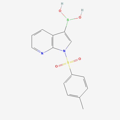 1-tosyl-1H-pyrrolo[2,3-b]pyridin-3-ylboronic acid (CAS: 882562-39-2) - Related Chemical Product