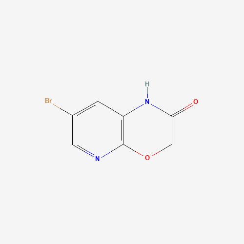 7-BROMO-1H-PYRIDO[2,3-B][1,4]OXAZIN-2(3H)-ONE (CAS: 105544-36-3) - Related Chemical Product