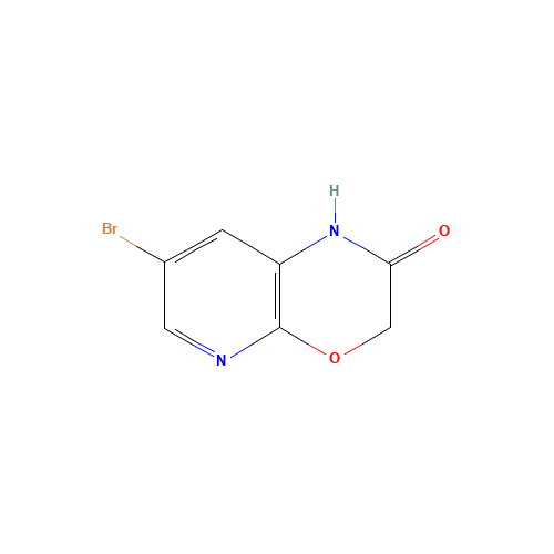 7-BROMO-1H-PYRIDO[2,3-B][1,4]OXAZIN-2(3H)-ONE (CAS: 105544-36-3) - Related Chemical Product
