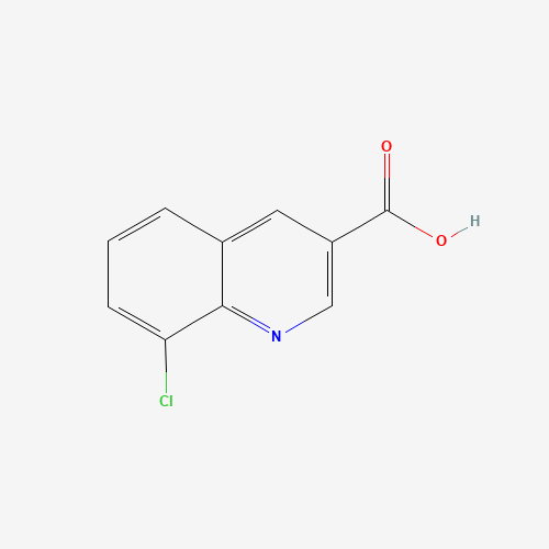 8-CHLOROQUINOLINE-3-CARBOXYLIC ACID (CAS: 71082-54-7) - Related Chemical Product