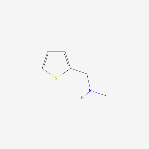 N-Methyl-(2-thienylmethyl)amine (CAS: 58255-18-8) - Related Chemical Product