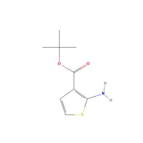 2-AMINOTHIOPHENE-3-CARBOXYLIC ACID T-BUTYL ESTER (CAS: 59739-05-8) - Related Chemical Product