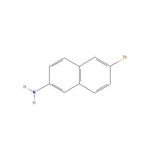 2-Amino-6-bromonaphthalene (CAS: 7499-66-3) - Related Chemical Product