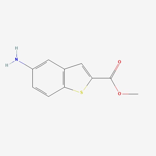 METHYL 5-AMINO-1-BENZOTHIOPHENE-2-CARBOXYLATE (CAS: 20699-85-8) - Related Chemical Product