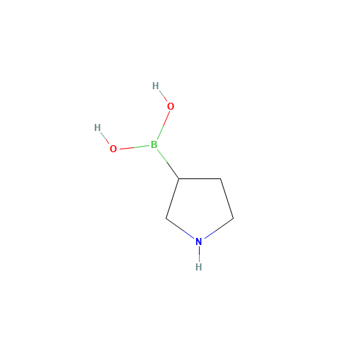 3-(PYRROLIDINO)PHENYLBORONIC ACID (CAS: 120347-75-3) - Related Chemical Product