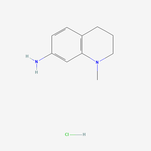 N-METHYL-1,2,3,4-TETRAHYDRO-7-QUINOLINAMINE HYDROCHLORIDE (CAS: 927684-97-7) - Related Chemical Product