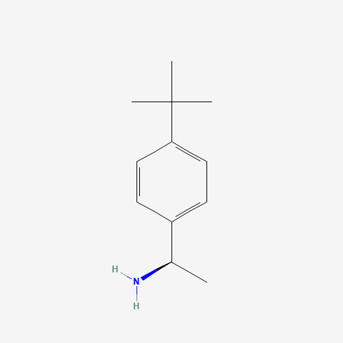(R)-1-(4-tert-butylphenyl)ethanamine (CAS: 511256-38-5) - Related Chemical Product
