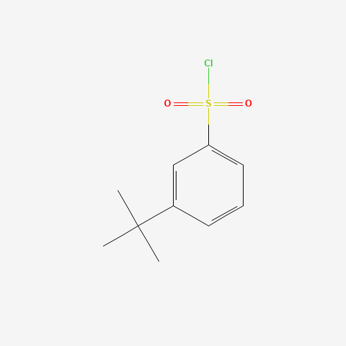 3-TERT-BUTYL BENZENESULFONYL CHLORIDE (CAS: 2905-26-2) - Related Chemical Product
