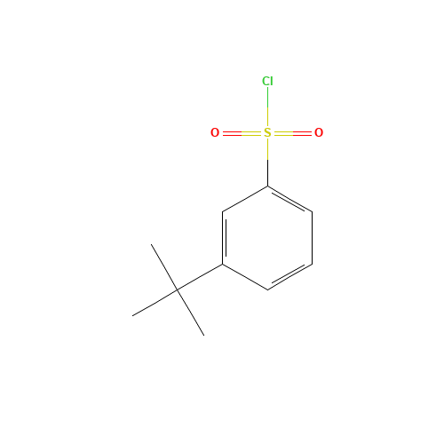 3-TERT-BUTYL BENZENESULFONYL CHLORIDE (CAS: 2905-26-2) - Related Chemical Product