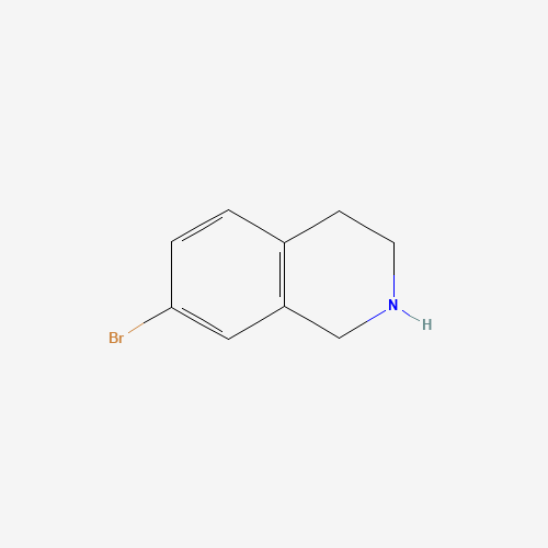 7-BROMO-1,2,3,4-TETRAHYDRO-ISOQUINOLINE (CAS: 17680-55-6) - Related Chemical Product