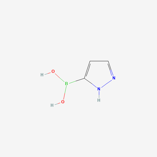 Pyrazole-3-boronic acid (CAS: 376584-63-3) - Chemical Structure and Molecular Formula 