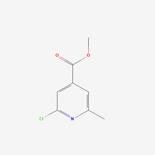 Methyl 2-chloro-6-methylpyridine-4-carboxylate (CAS: 3998-90-1) - Related Chemical Product