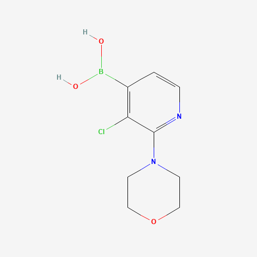 3-chloro-2-morpholino-4-pyridineboronic acid (CAS: 957061-04-0) - Related Chemical Product