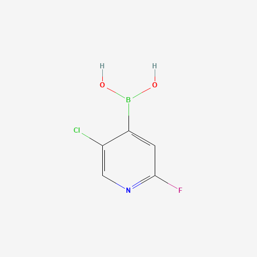 (5-CHLORO-2-FLUOROPYRIDIN-4-YL)BORONIC ACID (CAS: 1034659-38-5) - Chemical Structure and Molecular Formula 