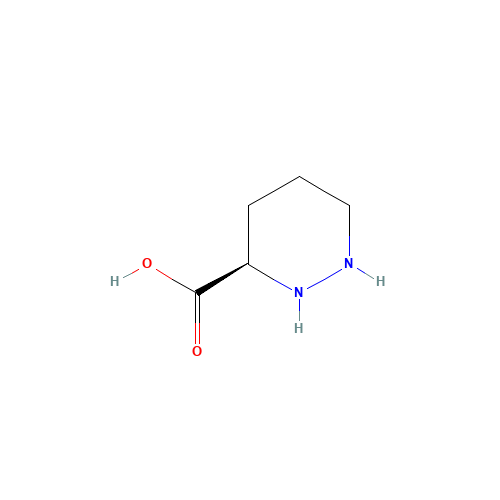 (R)-PIPERAZINE-2-CARBOXYLIC ACID (CAS: 24182-11-4) - Related Chemical Product