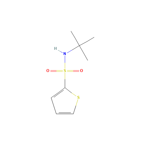 N-tert-Butyl-2-thiophenesulfonamide (CAS: 100342-30-1) - Chemical Structure and Molecular Formula 