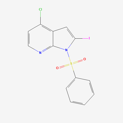 1-Benzenesulfonyl-4-chloro-2-iodo-7-azaindole (CAS: 940948-30-1) - Related Chemical Product