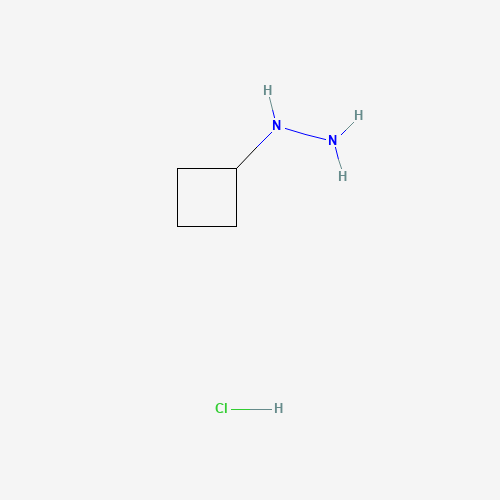 1-CYCLOBUTYLHYDRAZINE HYDROCHLORIDE (CAS: 158001-21-9) - Chemical Structure and Molecular Formula 