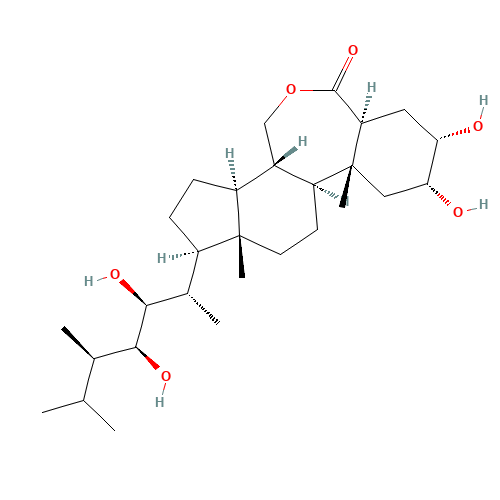 22S,23S-EPIBRASSINOLIDE (CAS: 78821-42-8) - Related Chemical Product