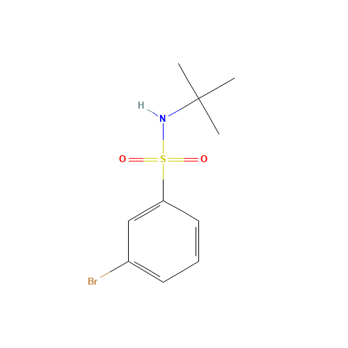 3-Bromo-N-tert-butyl-benzenesulfonamide (CAS: 308283-47-8) - Related Chemical Product