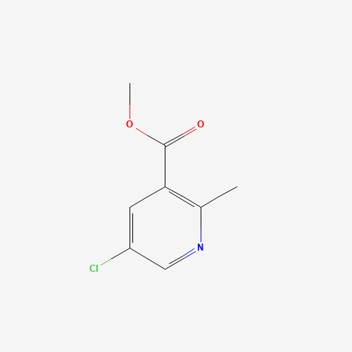 5-CHLORO-2-METHYL-NICOTINIC ACID METHYL ESTER chemical structure 5-CHLORO-2-METHYL-NICOTINIC ACID METHYL ESTER (CAS: 350597-49-8) - Chemical Structure and Molecular Formula