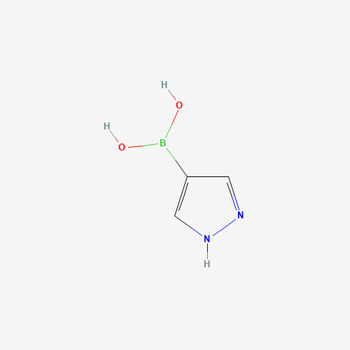 1H-PYRAZOLE-4-BORONIC ACID (CAS: 763120-58-7) - Related Chemical Product