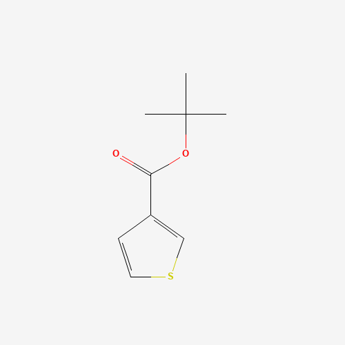 tert-butyl thiophene-3-carboxylate (CAS: 125294-45-3) - Related Chemical Product