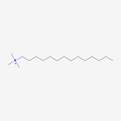 trimethyltetradecylammonium (CAS: 10182-92-0) - Related Chemical Product