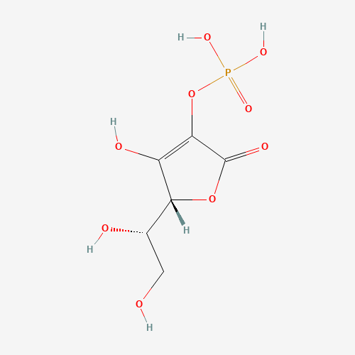 L-ASCORBIC ACID 2-MONOPHOSPHATE TRI-CYCLOHEXYLAMMONIUM SALT (CAS: 23313-12-4) - Related Chemical Product