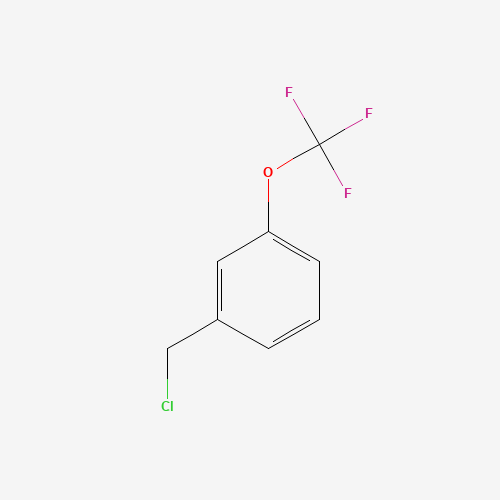 3-(TRIFLUOROMETHOXY)BENZYL CHLORIDE (CAS: 89807-43-2) - Related Chemical Product