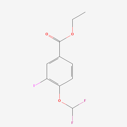 ethyl 4-(difluoromethoxy)-3-iodobenzoate (CAS: 1131614-53-3) - Related Chemical Product