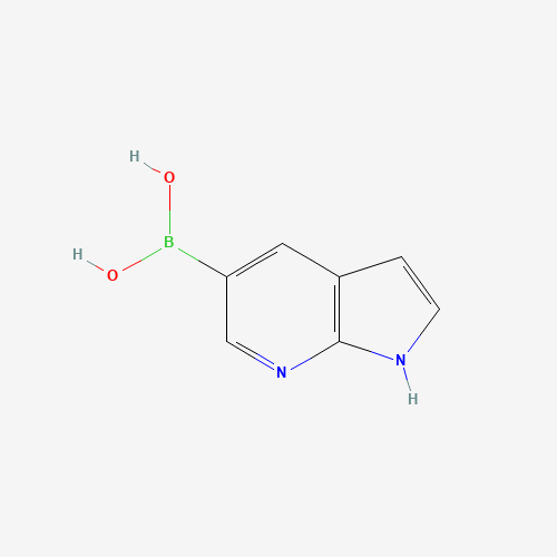 1H-PYRROLO[2,3-B]PYRIDIN-5-YLBORONIC ACID (CAS: 944059-24-9) - Related Chemical Product