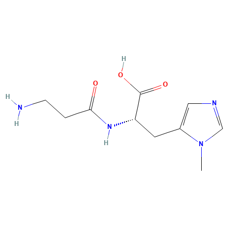 L-Anserine (CAS: 584-85-0) - Related Chemical Product