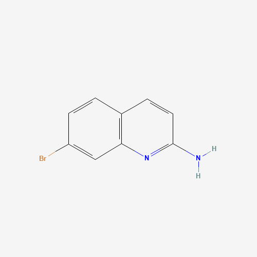 7-BROMOQUINOLIN-2-AMINE (CAS: 116632-53-2) - Related Chemical Product