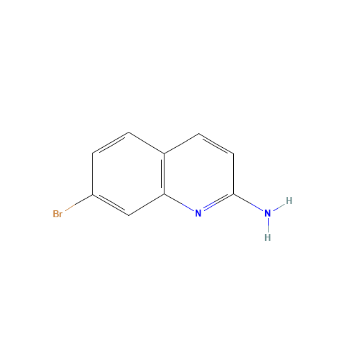 7-BROMOQUINOLIN-2-AMINE (CAS: 116632-53-2) - Related Chemical Product