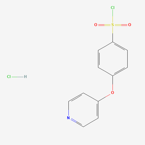 4-(4-PYRIDYLOXY)BENZENESULFONYL CHLORIDE HYDROCHLORIDE (CAS: 192330-49-7) - Related Chemical Product