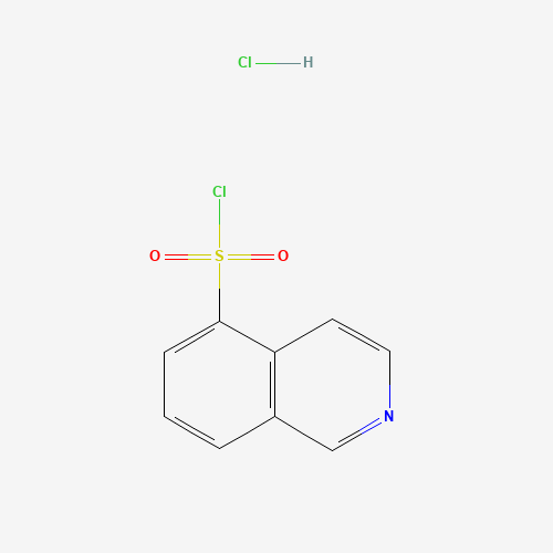Isoquinoline-5-sulphonyl chloride hydrochloride (CAS: 105627-79-0) - Related Chemical Product