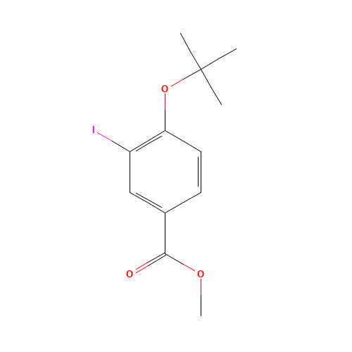 methyl 4-tert-butoxy-3-iodobenzoate (CAS: 1131614-45-3) - Related Chemical Product