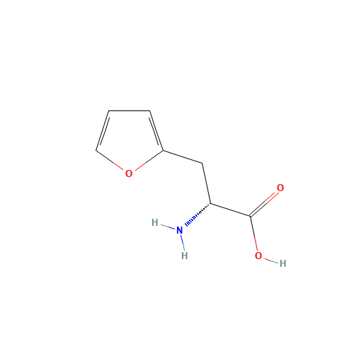 D-2-FURYLALANINE (CAS: 110772-46-8) - Related Chemical Product