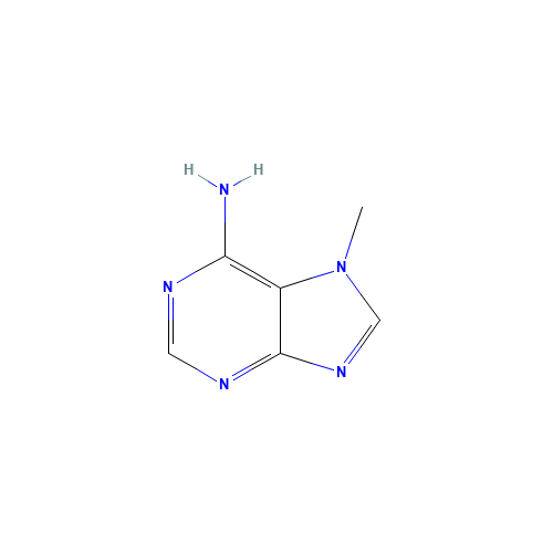 7-METHYLADENINE (CAS: 935-69-3) - Related Chemical Product