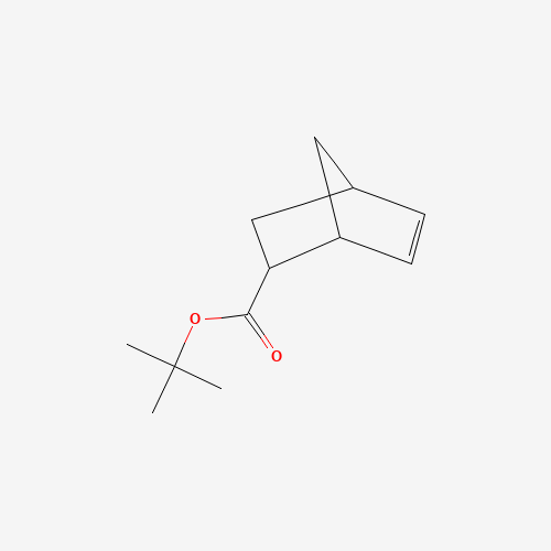 tert-Butyl 5-norbornene-2-carboxylate (CAS: 154970-45-3) - Related Chemical Product