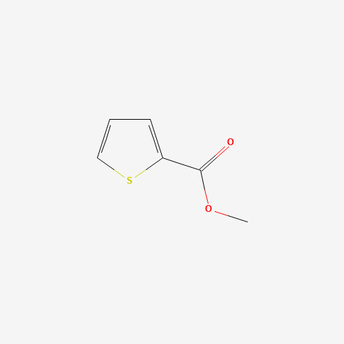 Methyl 2-thiophene carboxylate (CAS: 90179-20-7) - Related Chemical Product