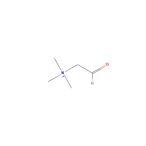 trimethyl-(2-oxoethyl)ammonium (CAS: 7418-61-3) - Related Chemical Product