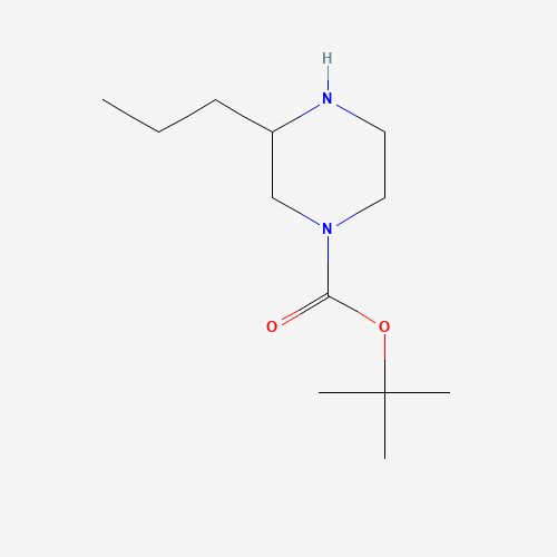 1-BOC-3-PROPYLPIPERAZINE (CAS: 502649-27-6) - Related Chemical Product